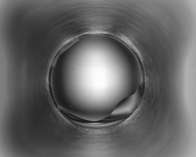 X0000088731189200705311423
