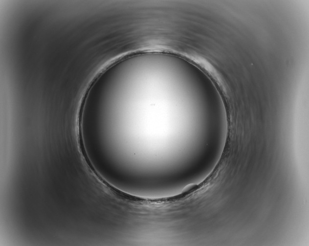 X0000088731191200705311423