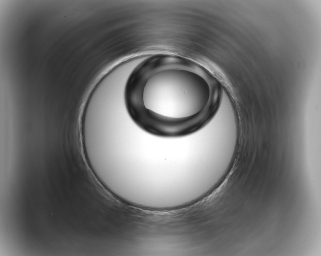 X0000088731192200705311423