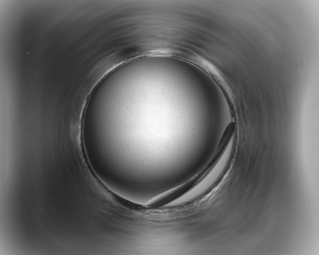X0000088731194200705311423