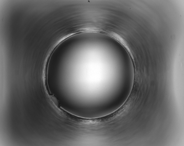X0000088731195200705311423
