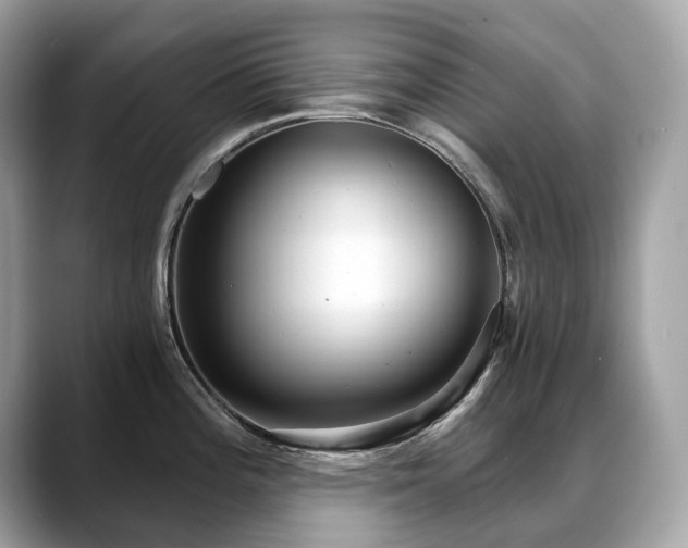 X0000088731196200705311423