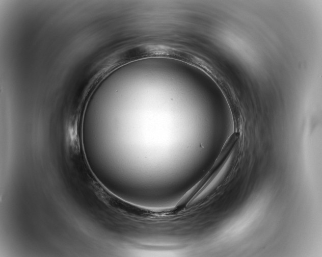 X0000088731198200705311423