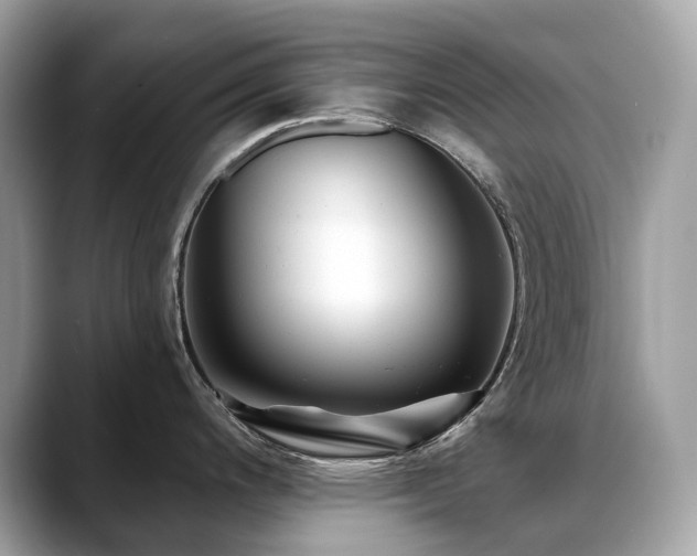 X0000088731200200705311423