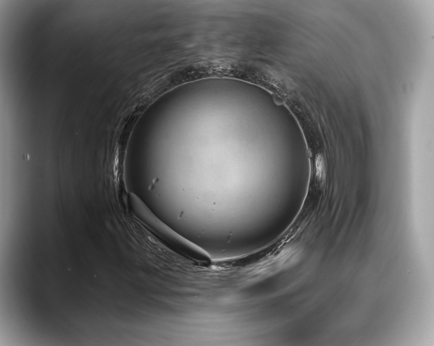 X0000088731203200705311423