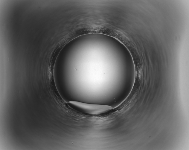 X0000088731204200705311423