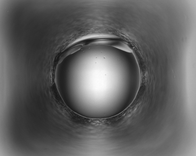 X0000088731205200705311423