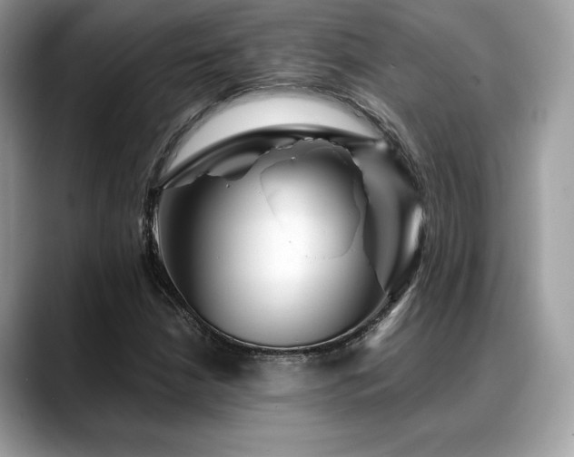 X0000088731210200705311423