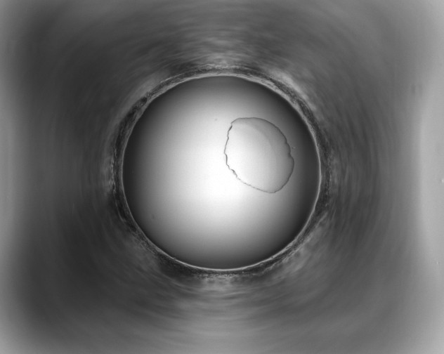 X0000088731211200705311423