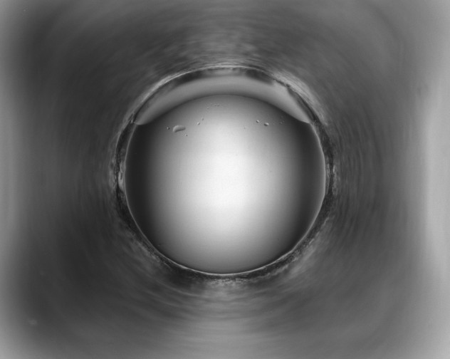 X0000088731212200705311423