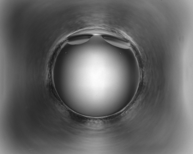 X0000088731215200705311423