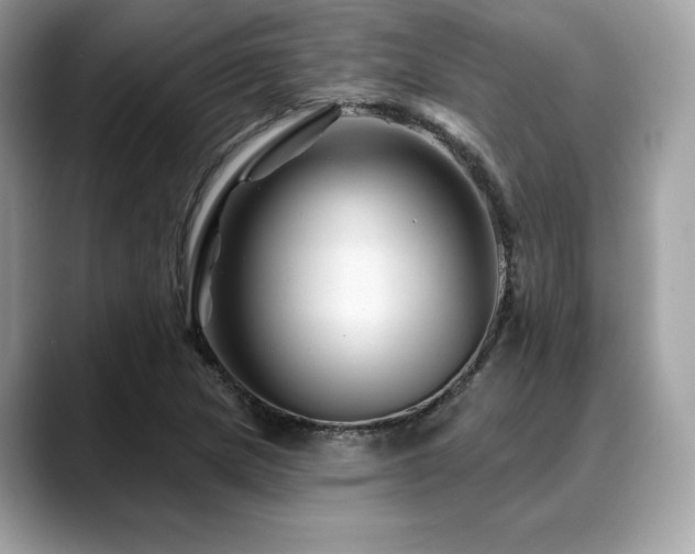 X0000088731217200705311423
