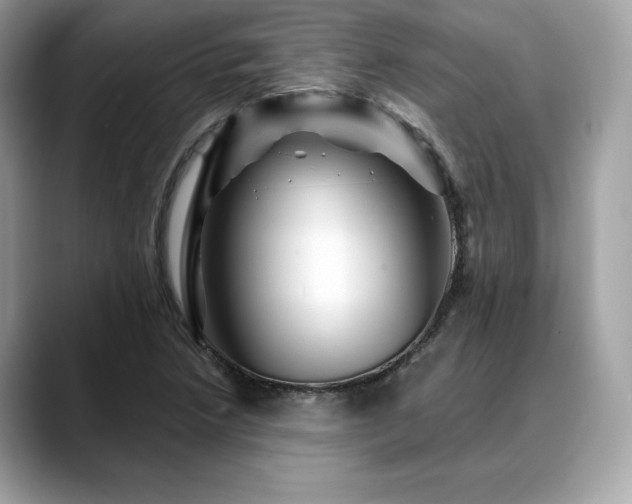 X0000088731218200705311423