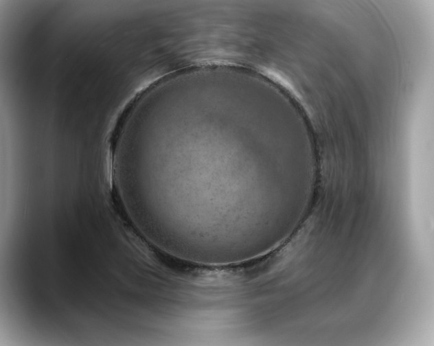 X0000088731219200705311423