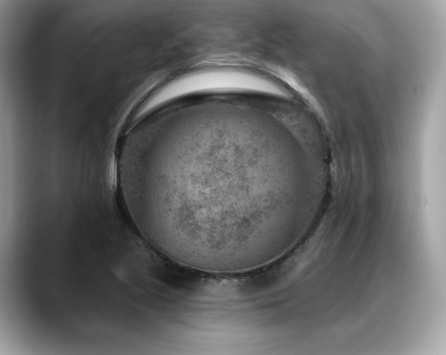 X0000088731221200705311423