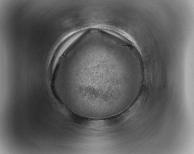 X0000088731223200705311423
