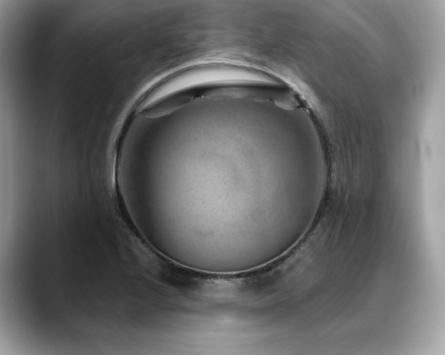 X0000088731224200705311423