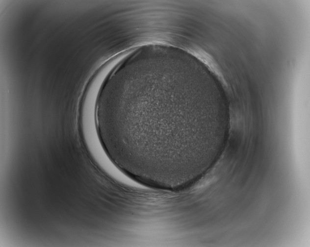 X0000088731226200705311423
