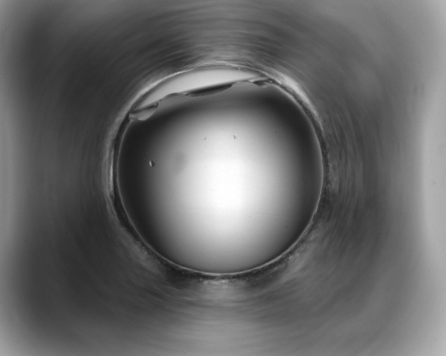 X0000088731227200705311423