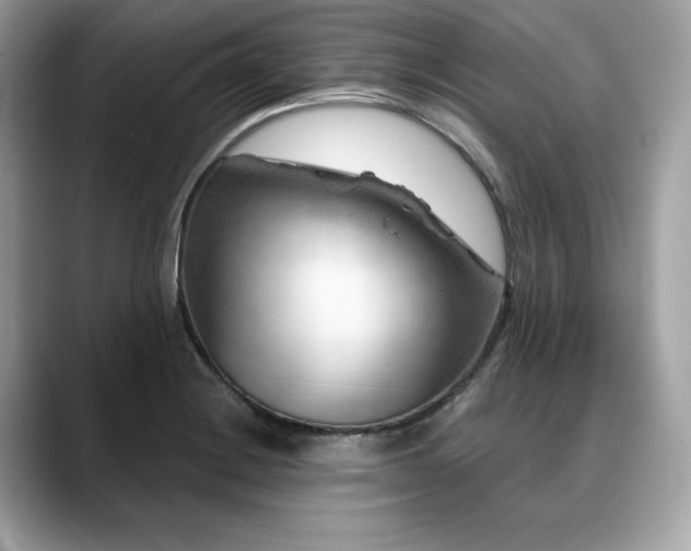 X0000088731228200705311423