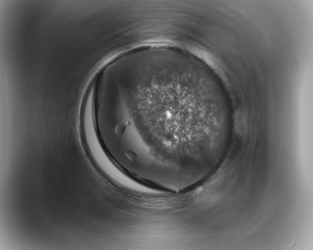 X0000088731229200705311423