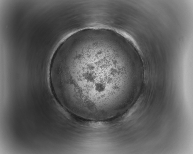 X0000088731231200705311423