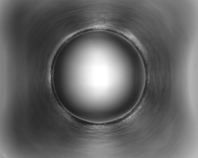 X0000088731232200705311423