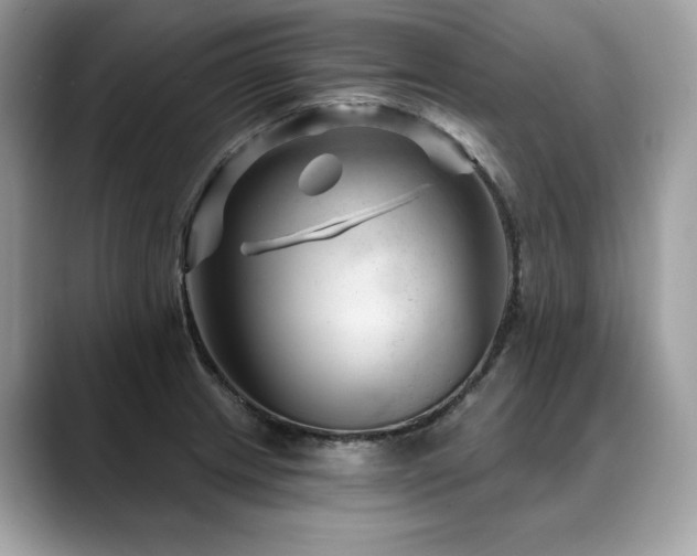 X0000088731233200705311423
