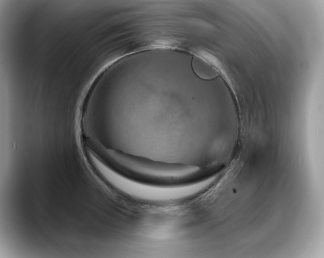 X0000088731235200705311423