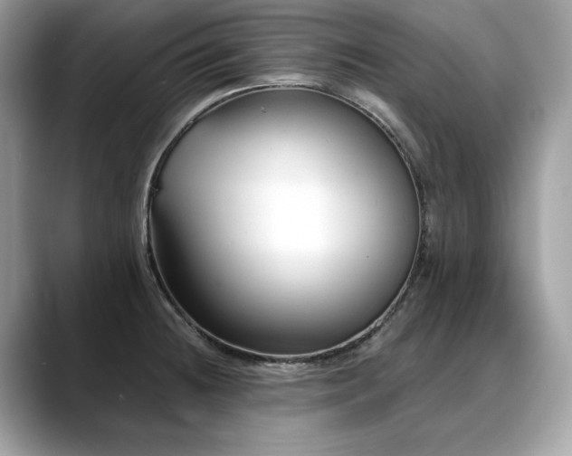 X0000088731236200705311423