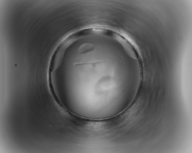 X0000088731237200705311423