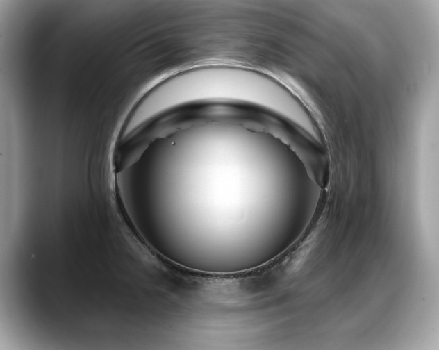 X0000088731238200705311423