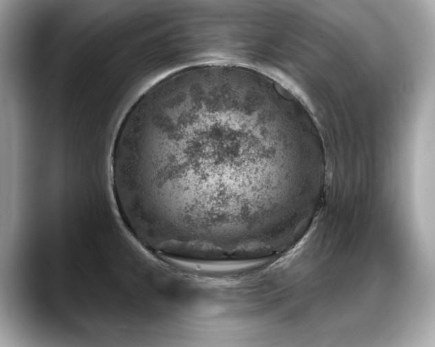 X0000088731239200705311423
