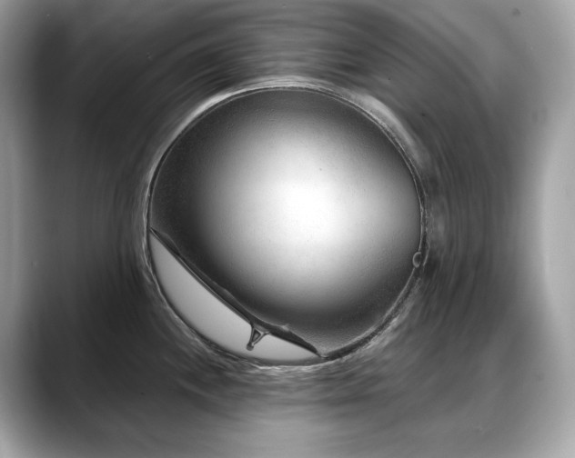 X0000088731244200705311423