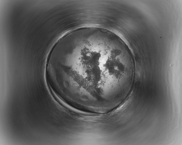 X0000088731245200705311423