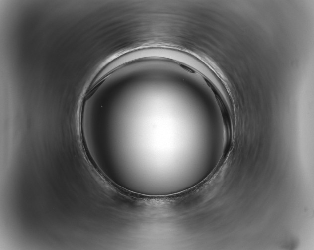 X0000088731246200705311423