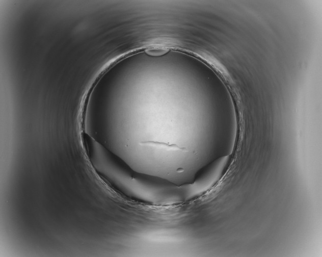 X0000088731248200705311423