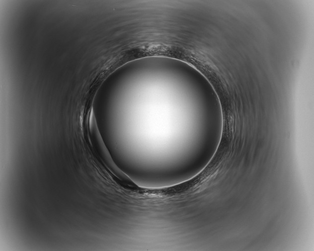 X0000088731250200705311422