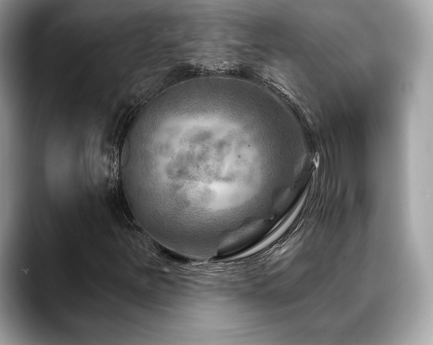 X0000088731251200705311422
