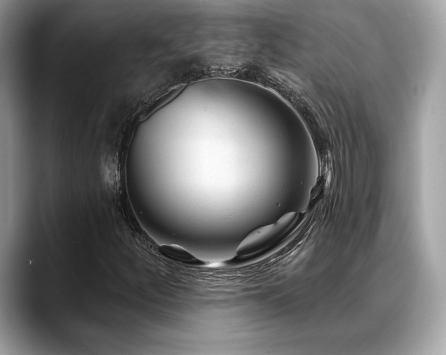 X0000088731252200705311422
