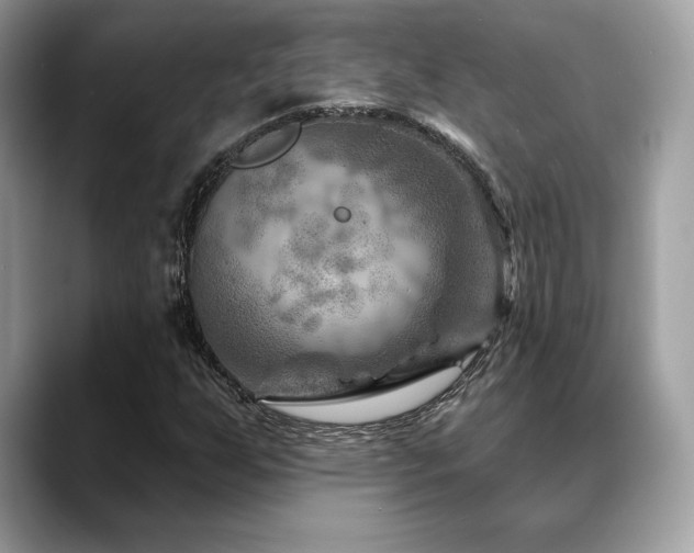 X0000088731255200705311422