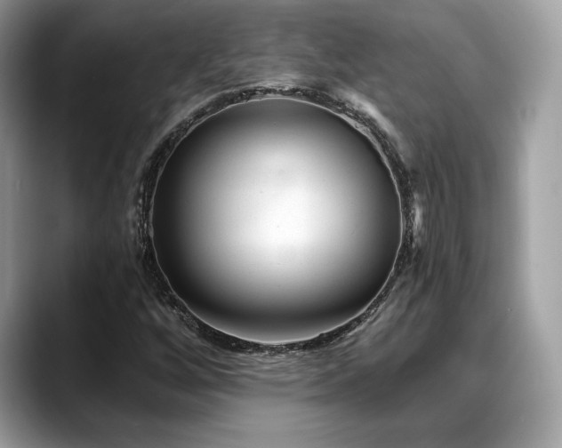 X0000088731256200705311422