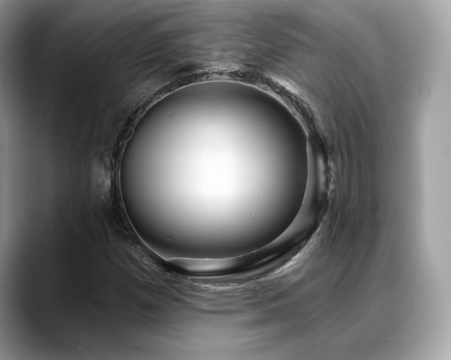 X0000088731257200705311422