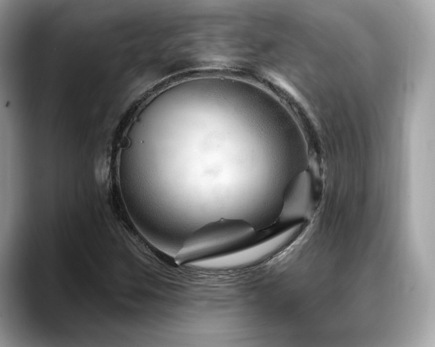X0000088731259200705311422