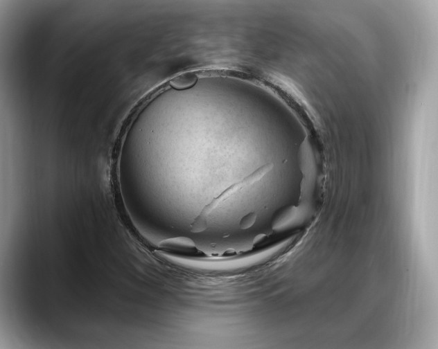 X0000088731260200705311422