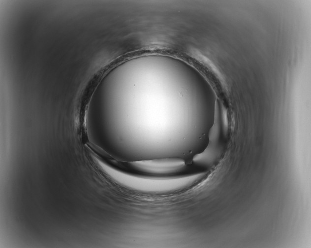 X0000088731261200705311422