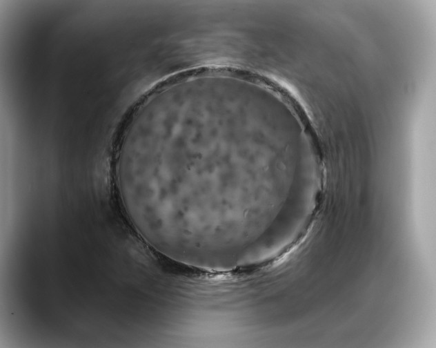 X0000088731263200705311422