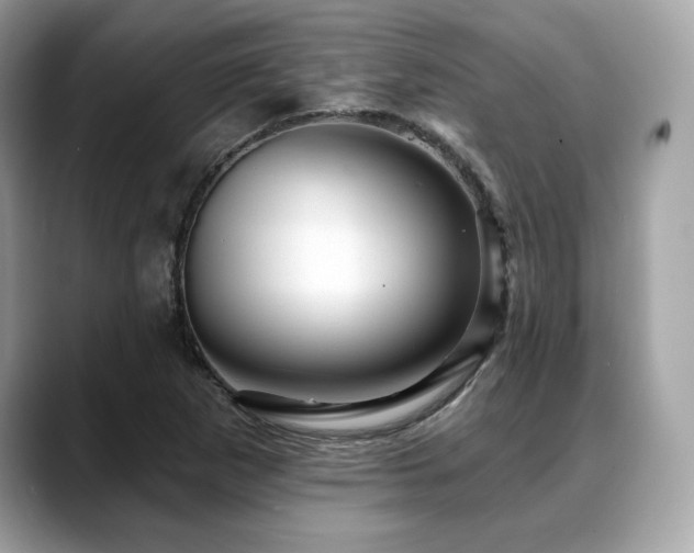 X0000088731265200705311422