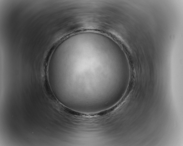 X0000088731266200705311422
