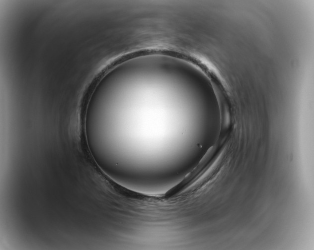X0000088731270200705311422